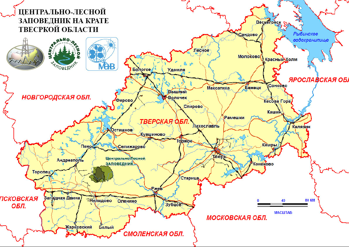 Карта старица тверская область