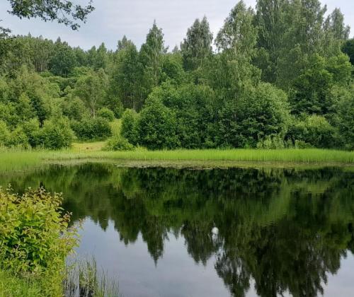 Фото Ирины Андриановой